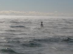 Buoy E in January sea smoke