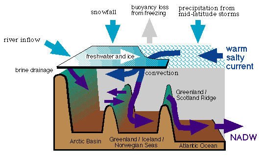 processes in the sinking of NADW
